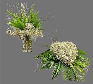 BABYS BREATH PACKAGE –  Carisma Florists, Mississauga ON