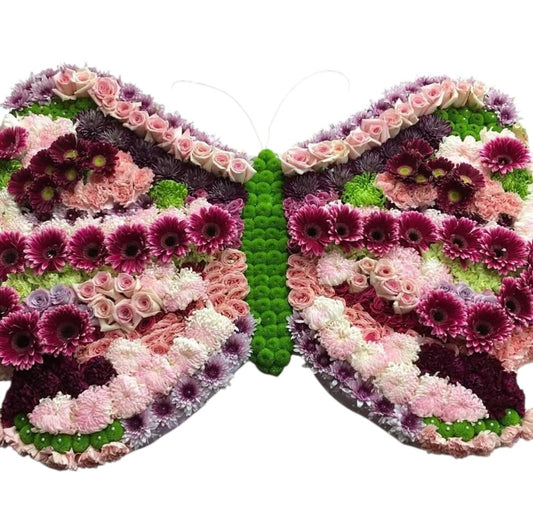 BUTTERFLY
