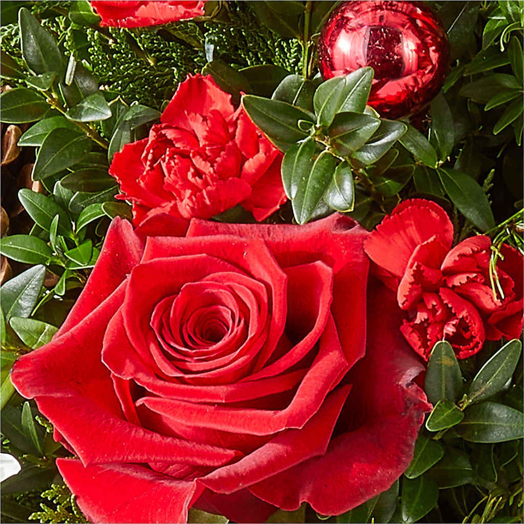 Spiced Gingerbread Tree –  Carisma Florists, Mississauga ON