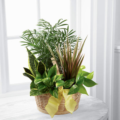 French Garden –  Carisma Florists, Mississauga ON