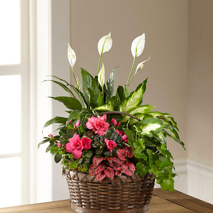 Dream in Pink Dishgarden –  Carisma Florists, Mississauga ON