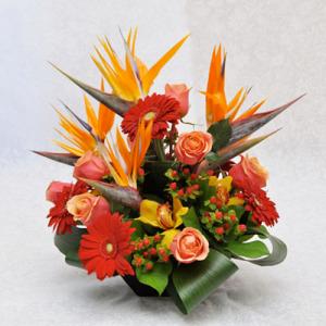 CARISMA FLORISTS&reg; Tropical Pardise CF-09