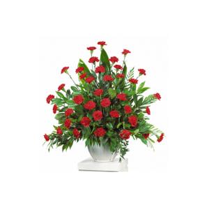 Contenedor de Claveles CARISMA FLORISTS®