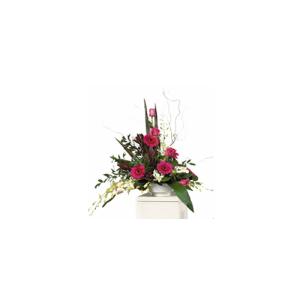  Carisma Florists&reg; Pink Seasonal Arrangement –  Carisma Florists, Mississauga ON