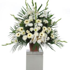 CARISMA FLORISTS® Rosas blancas Contenedor 4