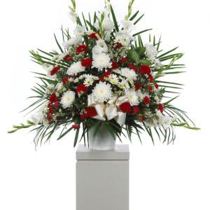  Carisma Florists&reg; Red carnations –  Carisma Florists, Mississauga ON