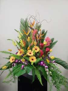 PARADISO –  Carisma Florists, Mississauga ON