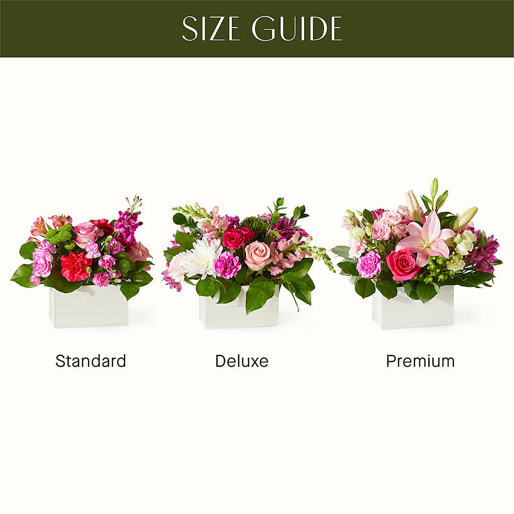 Sweetberry Box – A Florist Original –  Carisma Florists, Mississauga ON