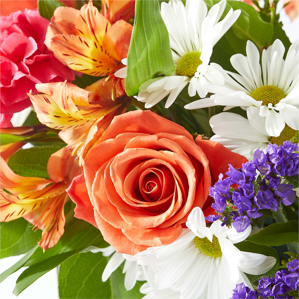 Oopsie Daisy Box Bouquet –  Carisma Florists, Mississauga ON