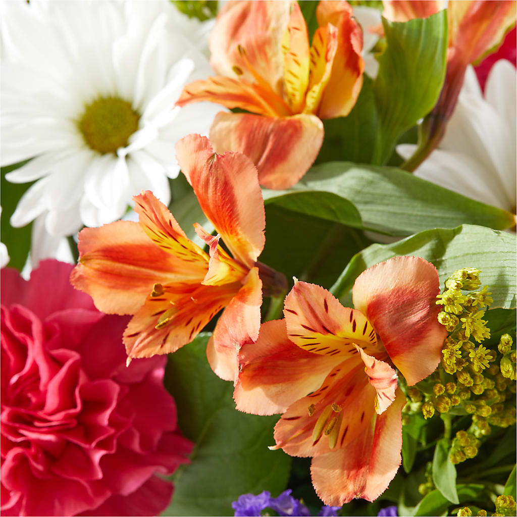 Oopsie Daisy Box Bouquet –  Carisma Florists, Mississauga ON