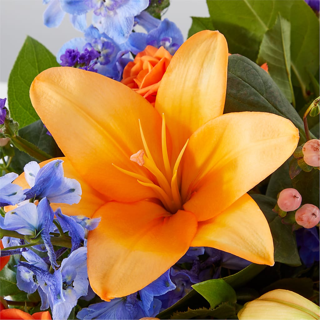 Radiant Citrus Box Bouquet –  Carisma Florists, Mississauga ON