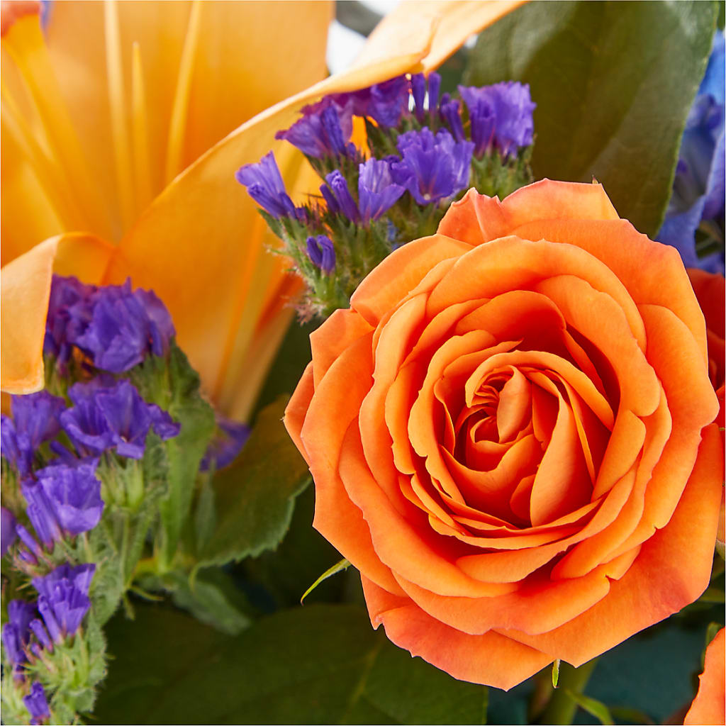 Radiant Citrus Box Bouquet –  Carisma Florists, Mississauga ON