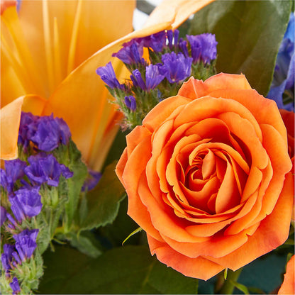 Radiant Citrus Box Bouquet –  Carisma Florists, Mississauga ON