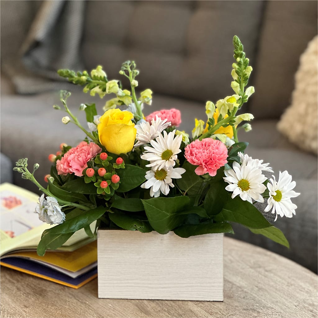 Sun Salutation Box Bouquet –  Carisma Florists, Mississauga ON