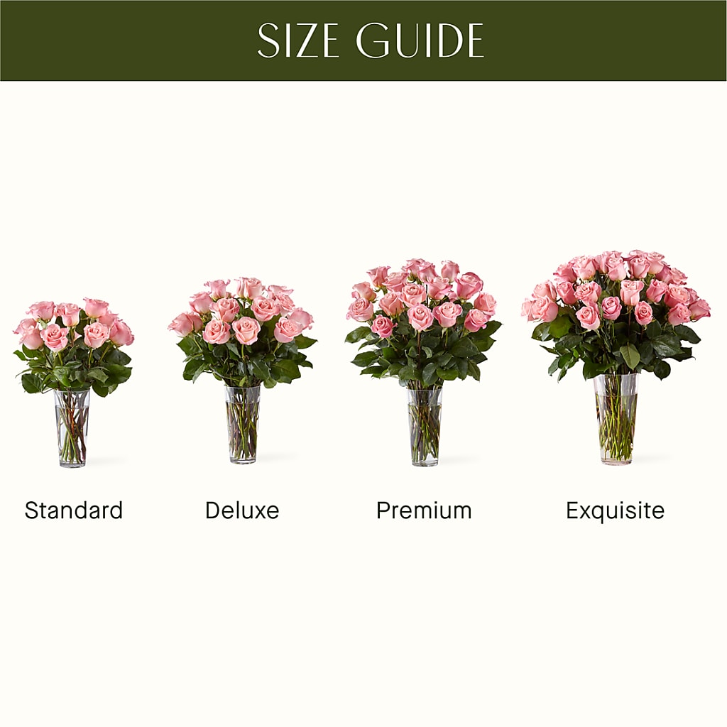 Long Stem Pink Rose Bouquet –  Carisma Florists, Mississauga ON