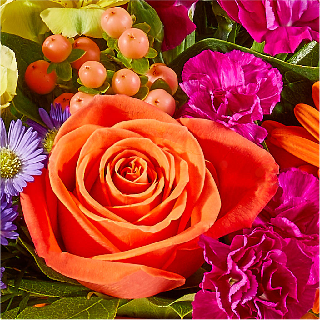 Tricks & Treats Pumpkin –  Carisma Florists, Mississauga ON
