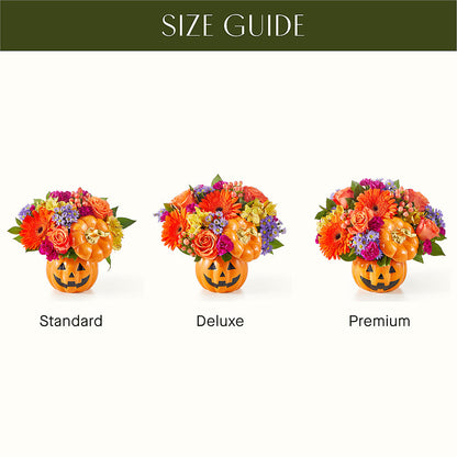 Tricks & Treats Pumpkin –  Carisma Florists, Mississauga ON