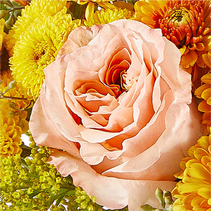 Peachy Pumpkin –  Carisma Florists, Mississauga ON
