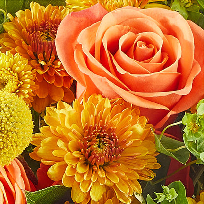 Gourdgeous Pumpkin –  Carisma Florists, Mississauga ON