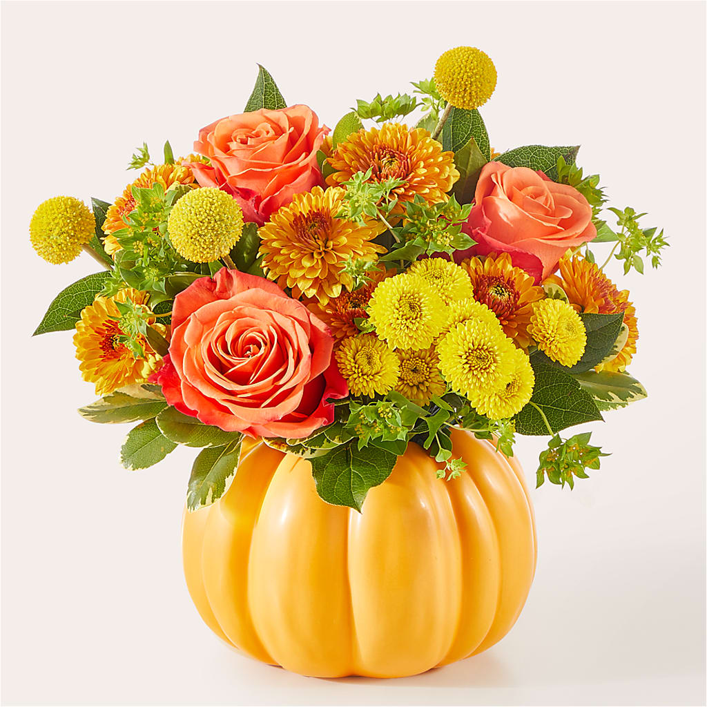Gourdgeous Pumpkin –  Carisma Florists, Mississauga ON