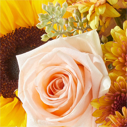 Pumpkin to Talk About Bouquet –  Carisma Florists, Mississauga ON