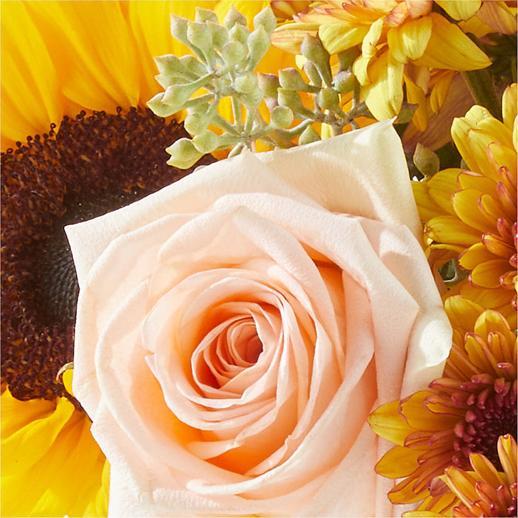Pumpkin to Talk About Bouquet –  Carisma Florists, Mississauga ON