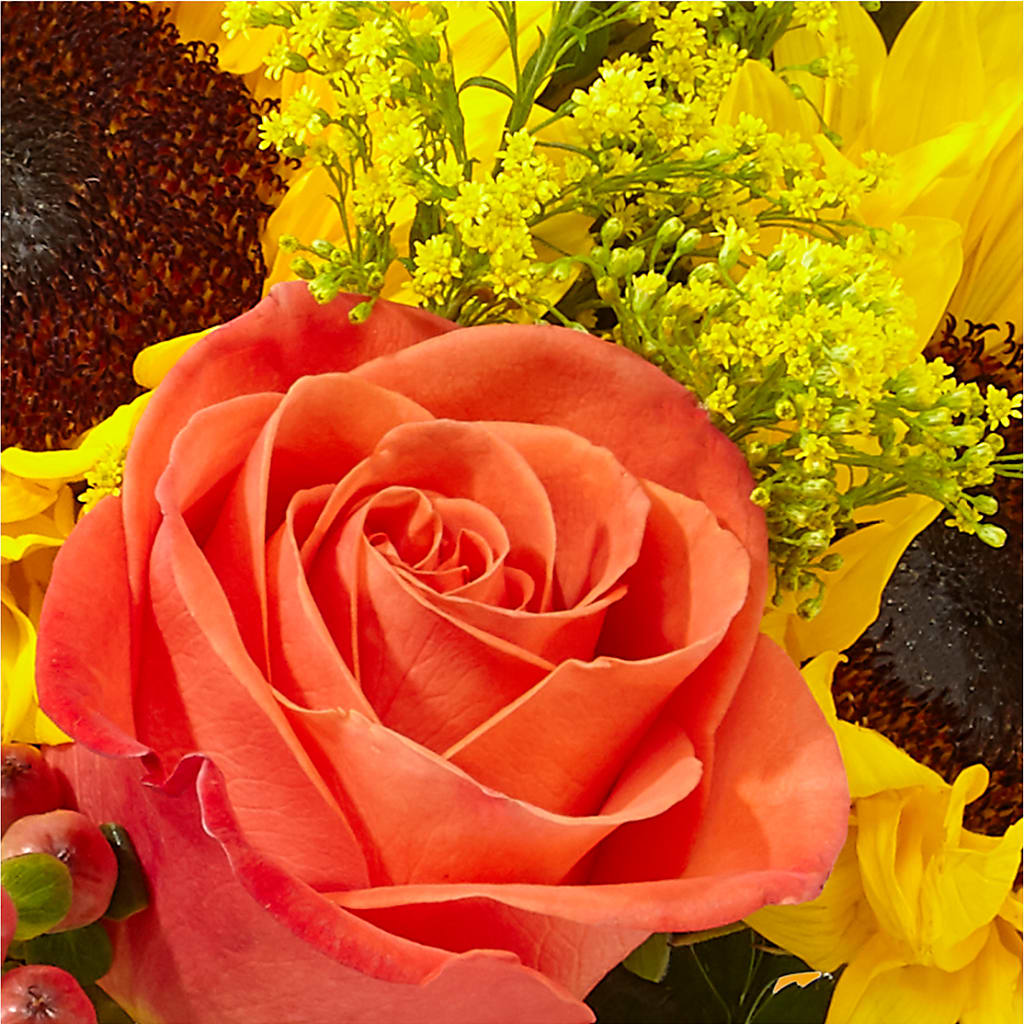 Pick of the Patch Pumpkin Bouquet –  Carisma Florists, Mississauga ON