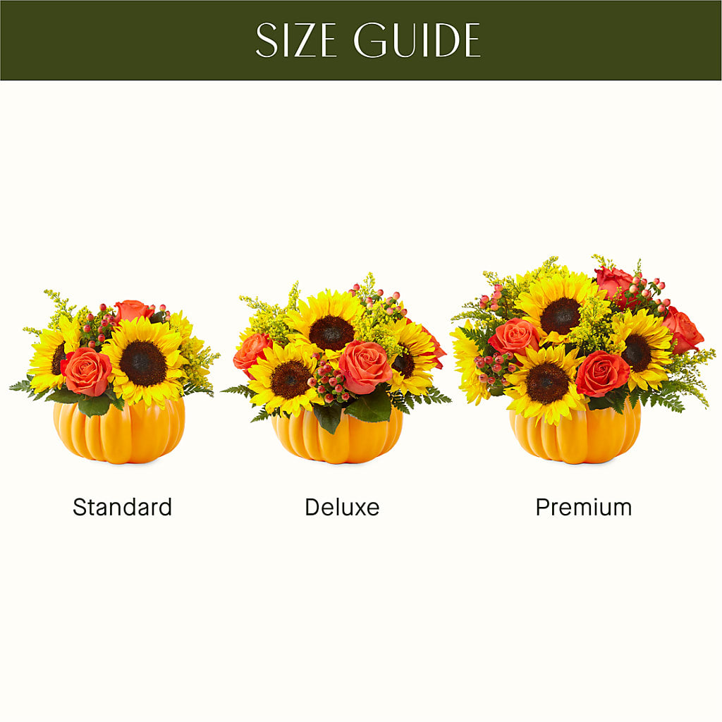 Pick of the Patch Pumpkin Bouquet –  Carisma Florists, Mississauga ON