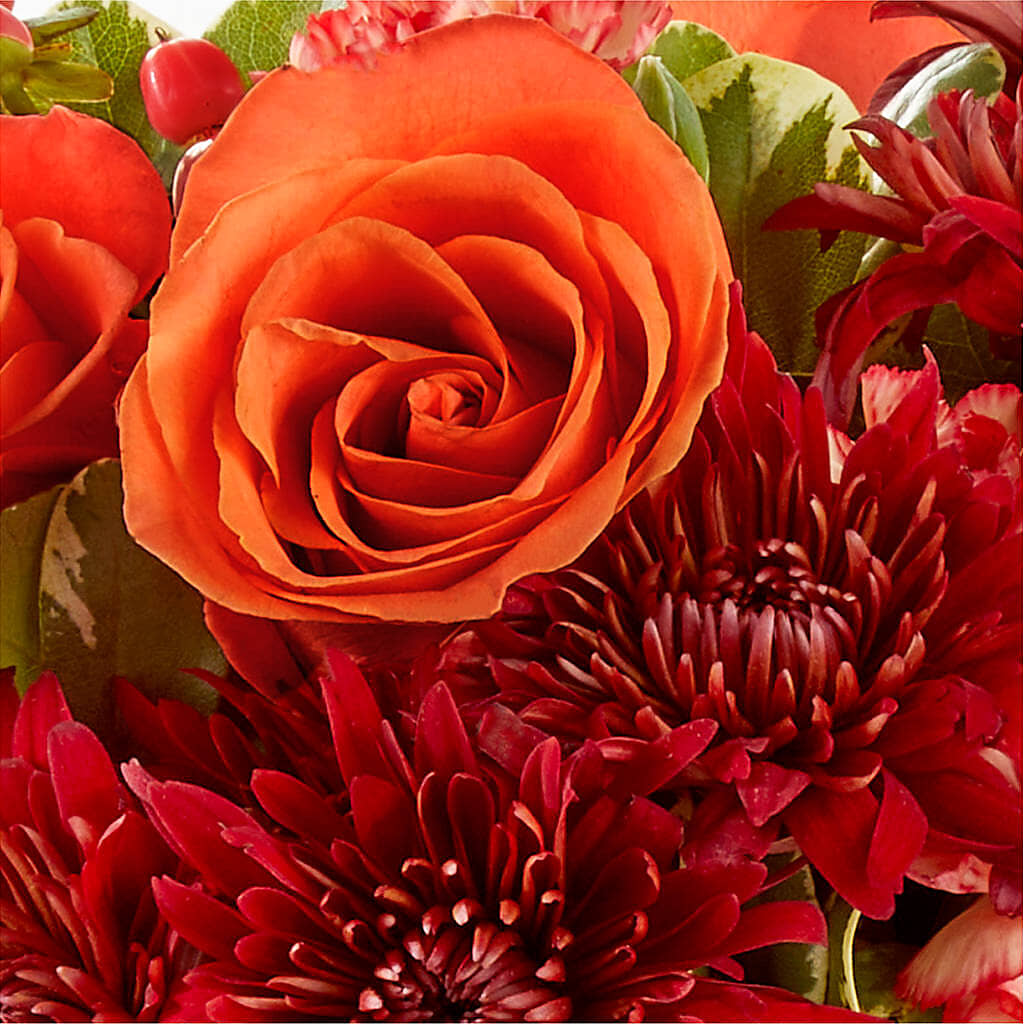 Autumn Air Pumpkin Bouquet –  Carisma Florists, Mississauga ON