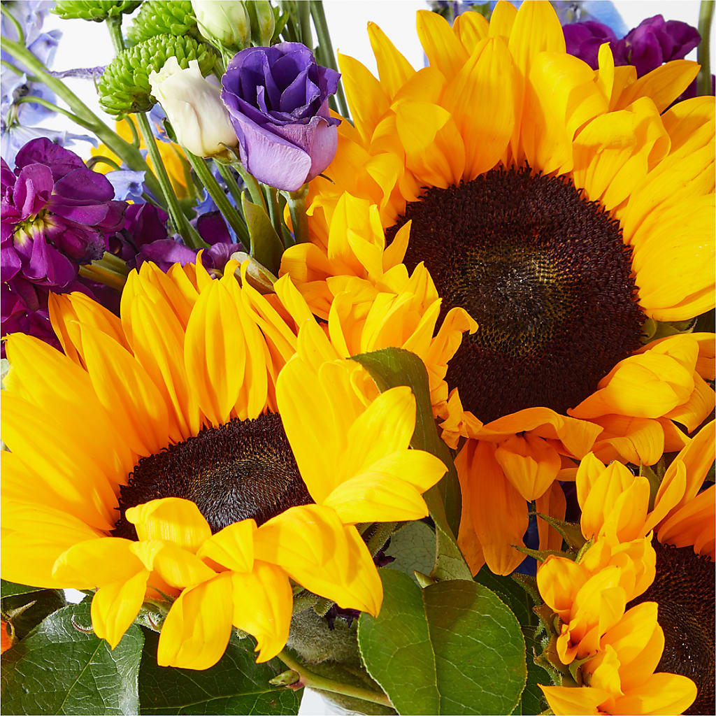 Catching Rays Bouquet –  Carisma Florists, Mississauga ON