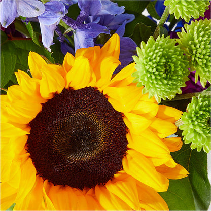Catching Rays Bouquet –  Carisma Florists, Mississauga ON