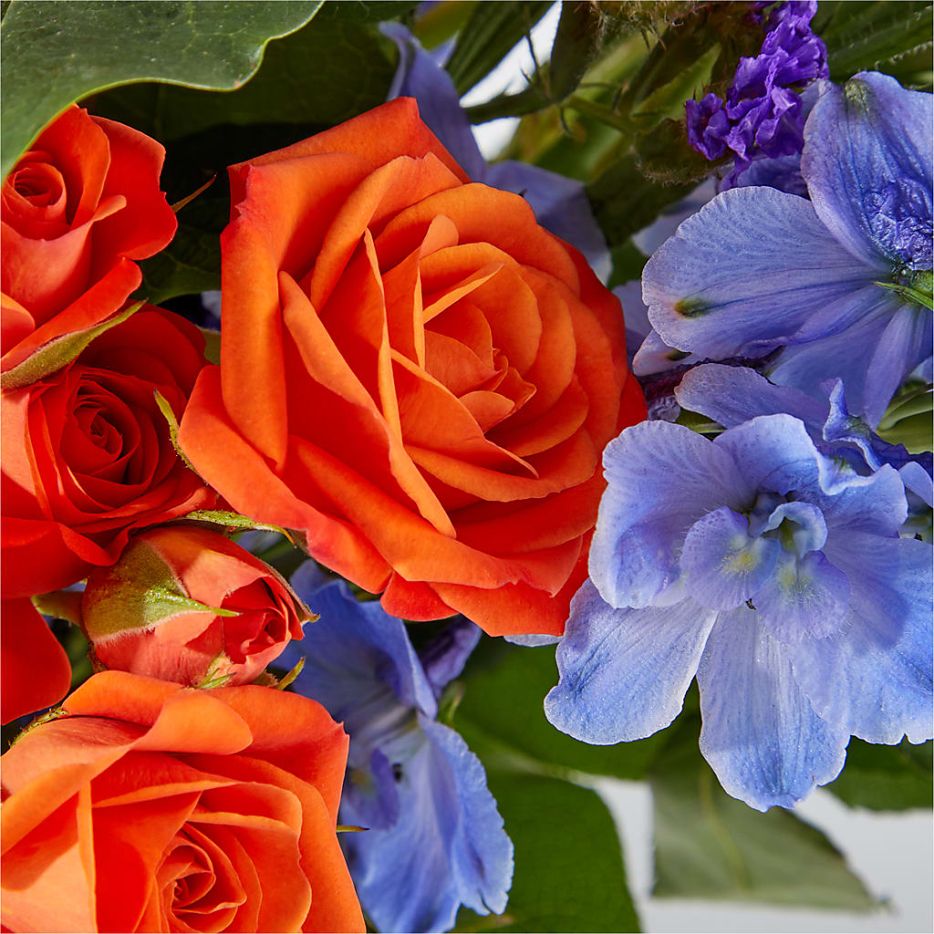 Radiant Citrus Bouquet –  Carisma Florists, Mississauga ON