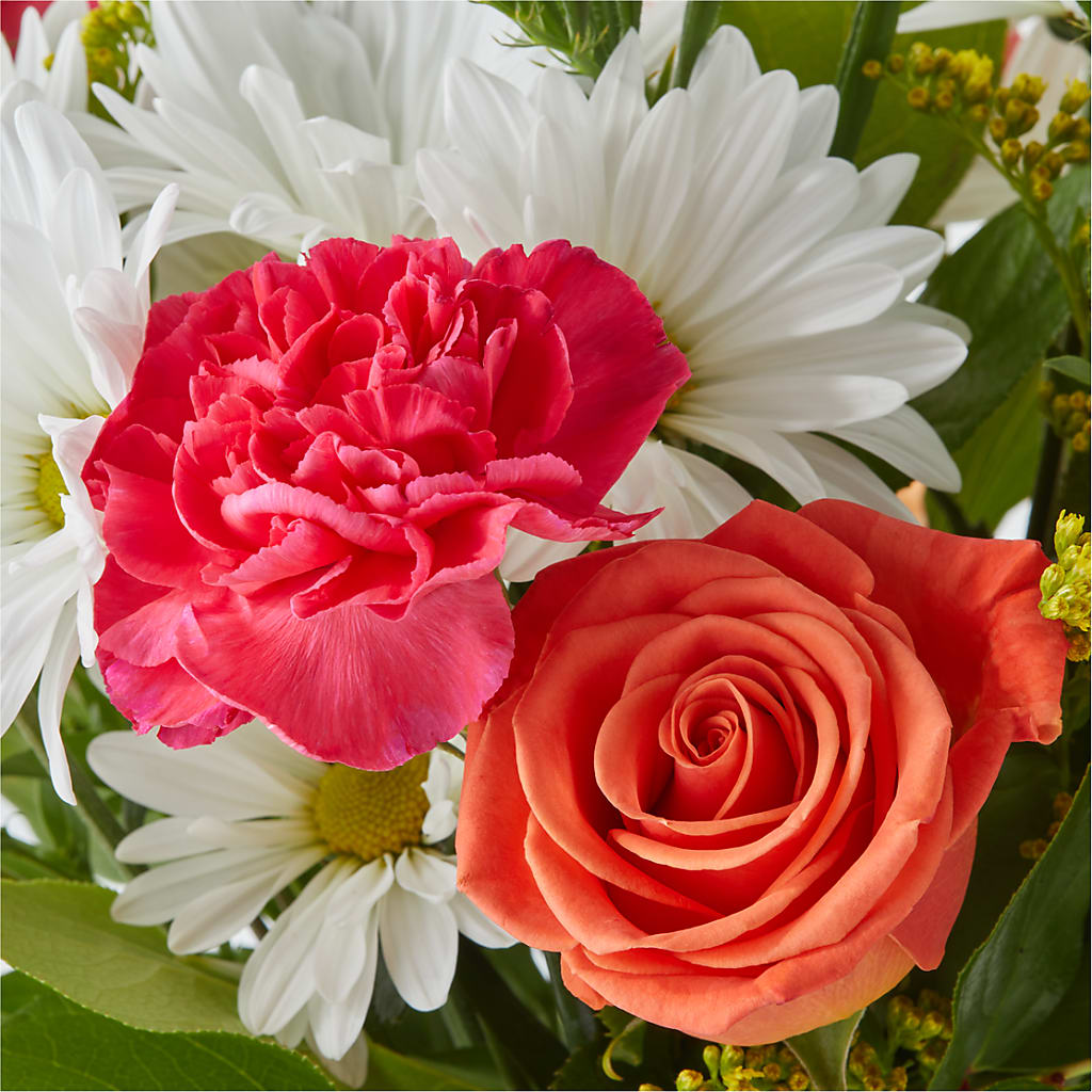 Oopsie Daisy Bouquet –  Carisma Florists, Mississauga ON