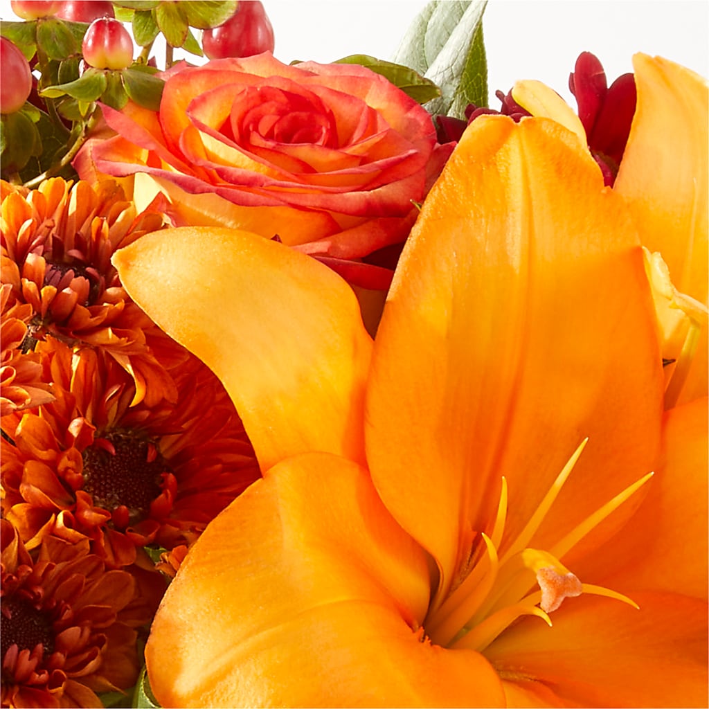 Backyard Bonfire Bouquet –  Carisma Florists, Mississauga ON