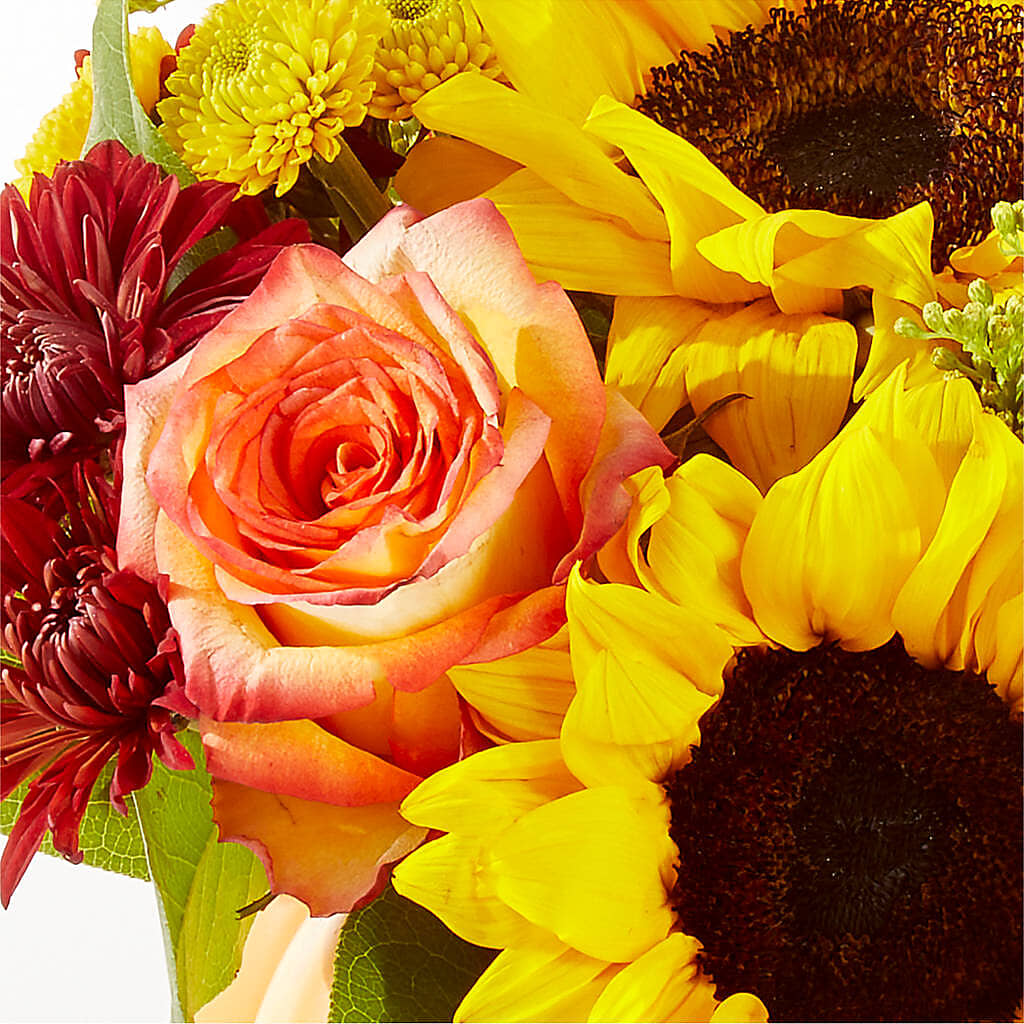 Golden Gourd Pumpkin Bouquet –  Carisma Florists, Mississauga ON