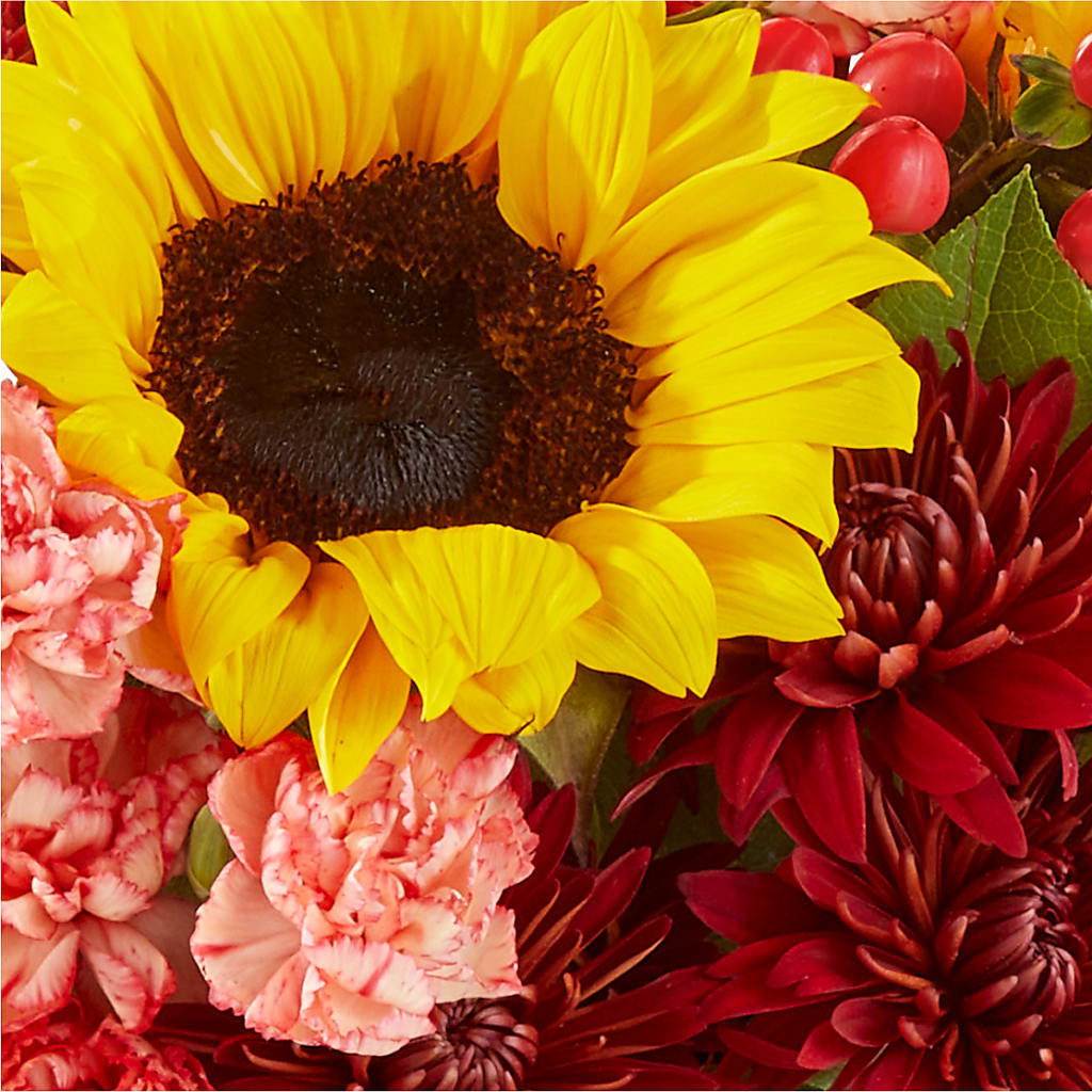 Fresh Cider Bouquet –  Carisma Florists, Mississauga ON