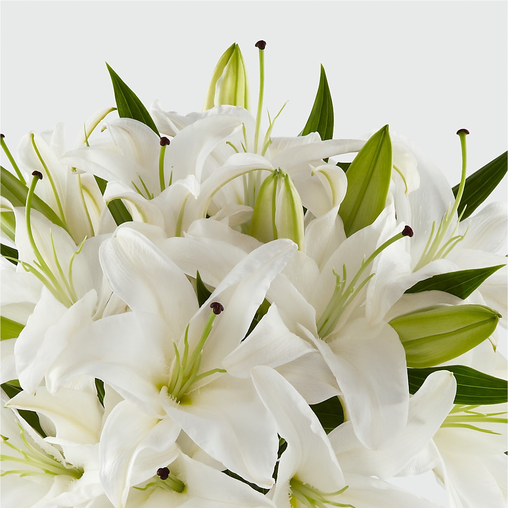 Faithful Blessings Bouquet –  Carisma Florists, Mississauga ON