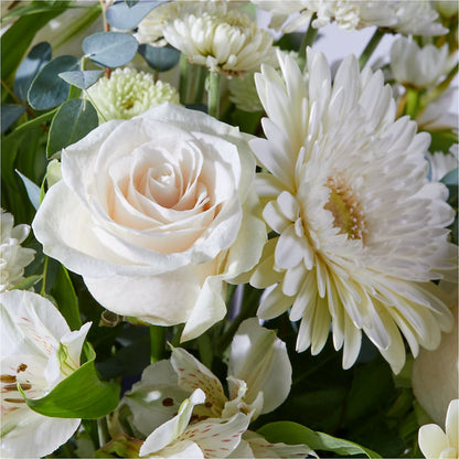 New Beginnings – A Florist Original –  Carisma Florists, Mississauga ON