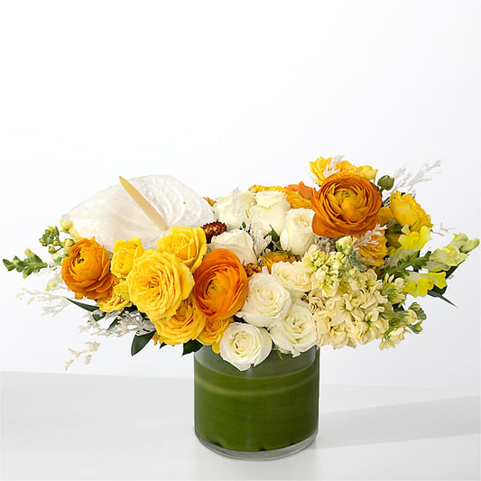The Optimist –  Carisma Florists, Mississauga ON
