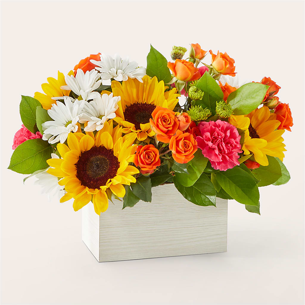 Sun-drenched Blooms Box Bouquet –  Carisma Florists, Mississauga ON