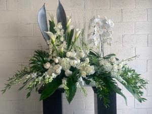 MAGNIFICO –  Carisma Florists, Mississauga ON