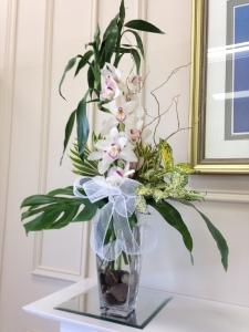 Carisma Florists&reg; Squisito White Cymbidium Orchid