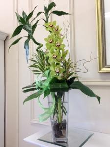 Carisma Florists&reg; Squisito Green Cymbidium Orchid