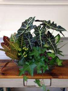 Carisma Florists&reg; Planters18 –  Carisma Florists, Mississauga ON