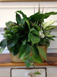 Carisma Florists&reg; Planters19 –  Carisma Florists, Mississauga ON