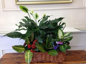Carisma Florists&reg; Planters20 –  Carisma Florists, Mississauga ON