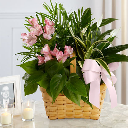 Living Spirit Dishgarden –  Carisma Florists, Mississauga ON