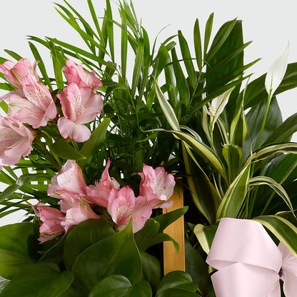 Living Spirit Dishgarden –  Carisma Florists, Mississauga ON