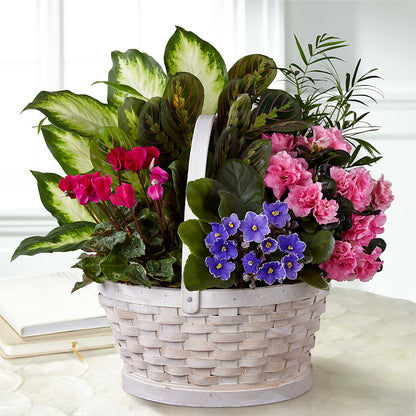 Peaceful Garden Planter –  Carisma Florists, Mississauga ON