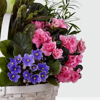 Peaceful Garden Planter –  Carisma Florists, Mississauga ON